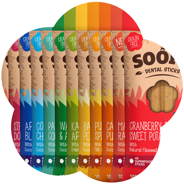 Chomp the Rainbow Bundle