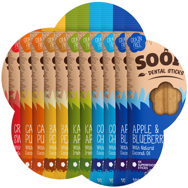 Mixed Dental Sticks - 12 Pack