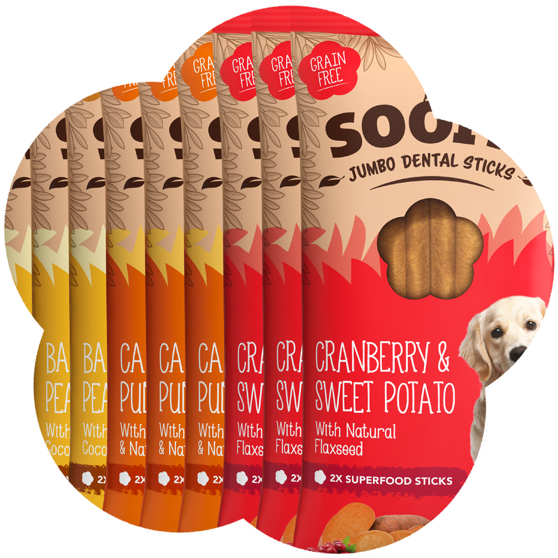 Mixed Jumbo Dental Sticks 170g - 9 Pack