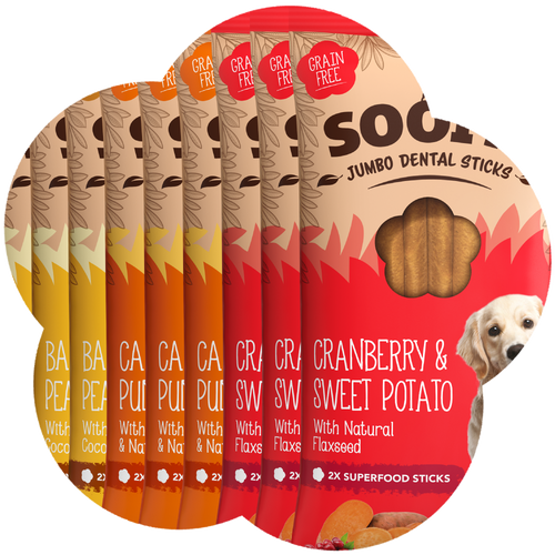 Mixed Jumbo Dental Sticks 170g - 9 Pack