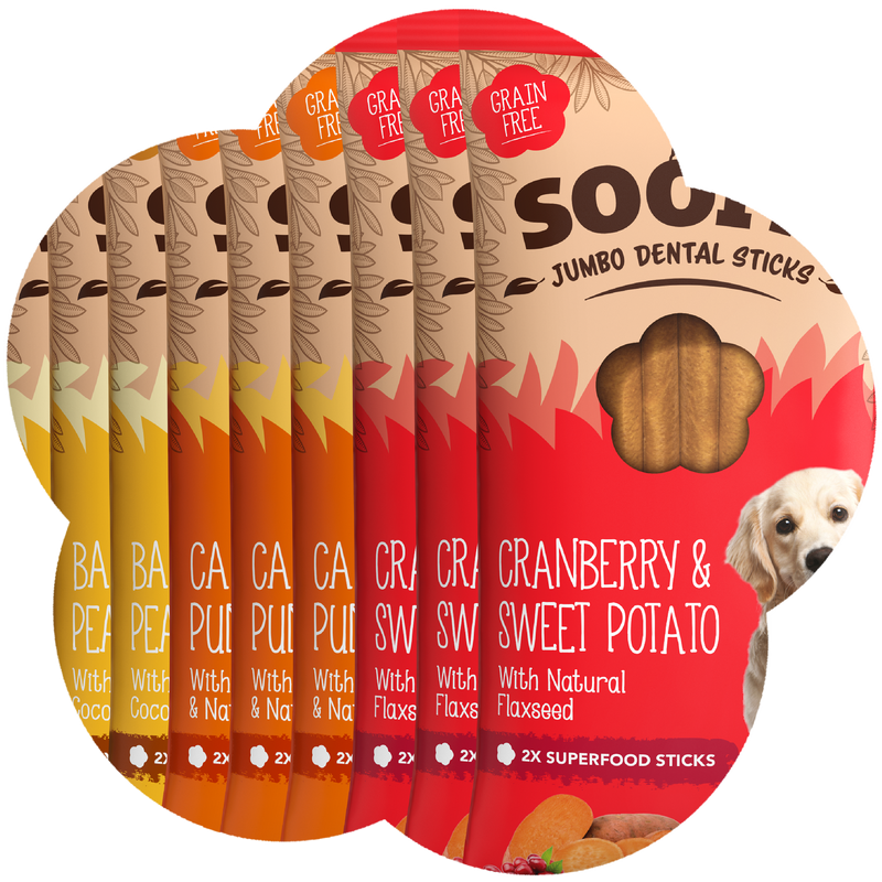 Mixed Jumbo Dental Sticks 170g - 9 Pack