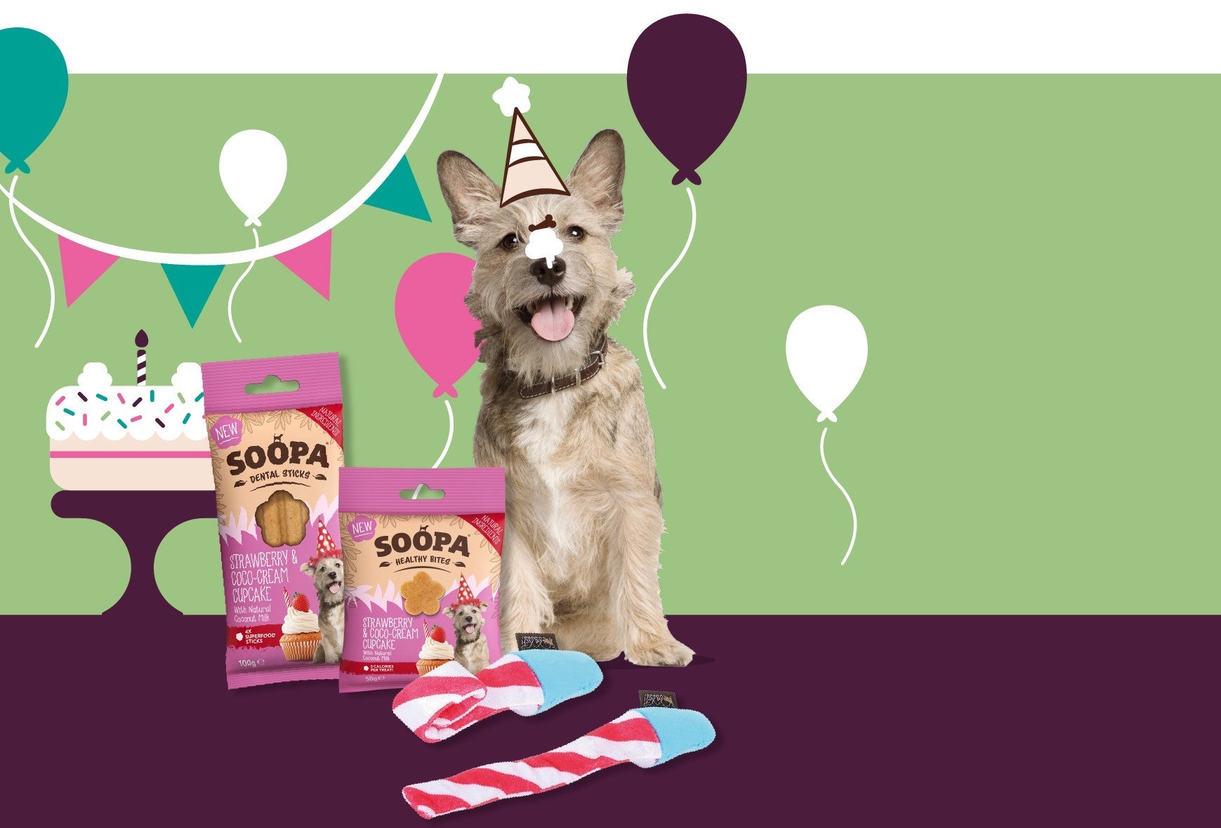 Dog Birthday Gift Tin | Soopa Pets