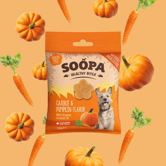 Soopa Carrot & Pumpkin Dental Sticks