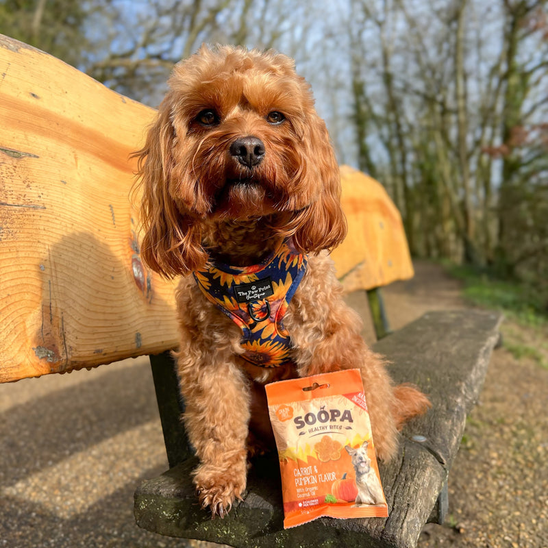 Carrot & Pumpkin Healthy Bites