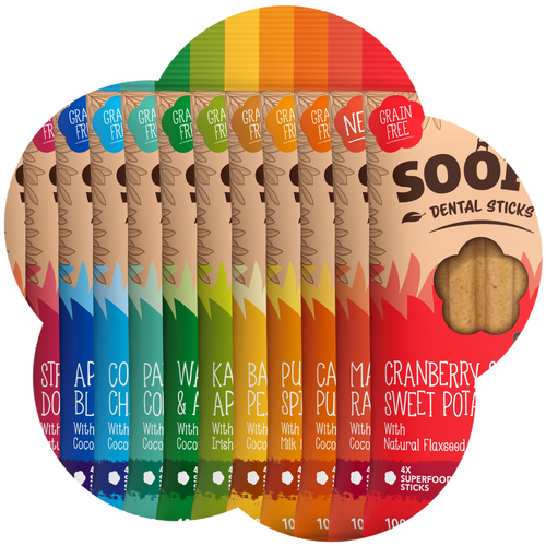 Chomp the Rainbow Bundle