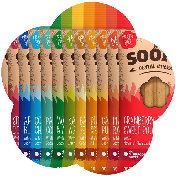 Chomp the Rainbow Bundle