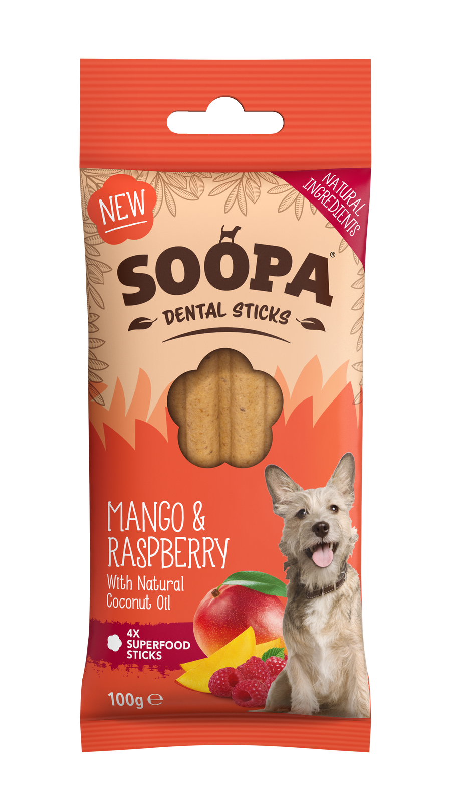 Mango & Raspberry Dental Sticks
