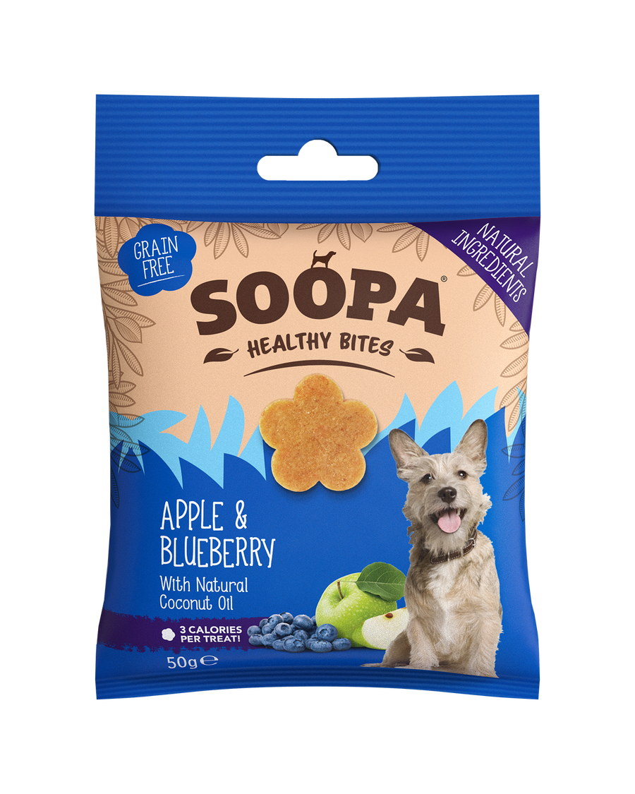 Apple & Blueberry Healthy Bites