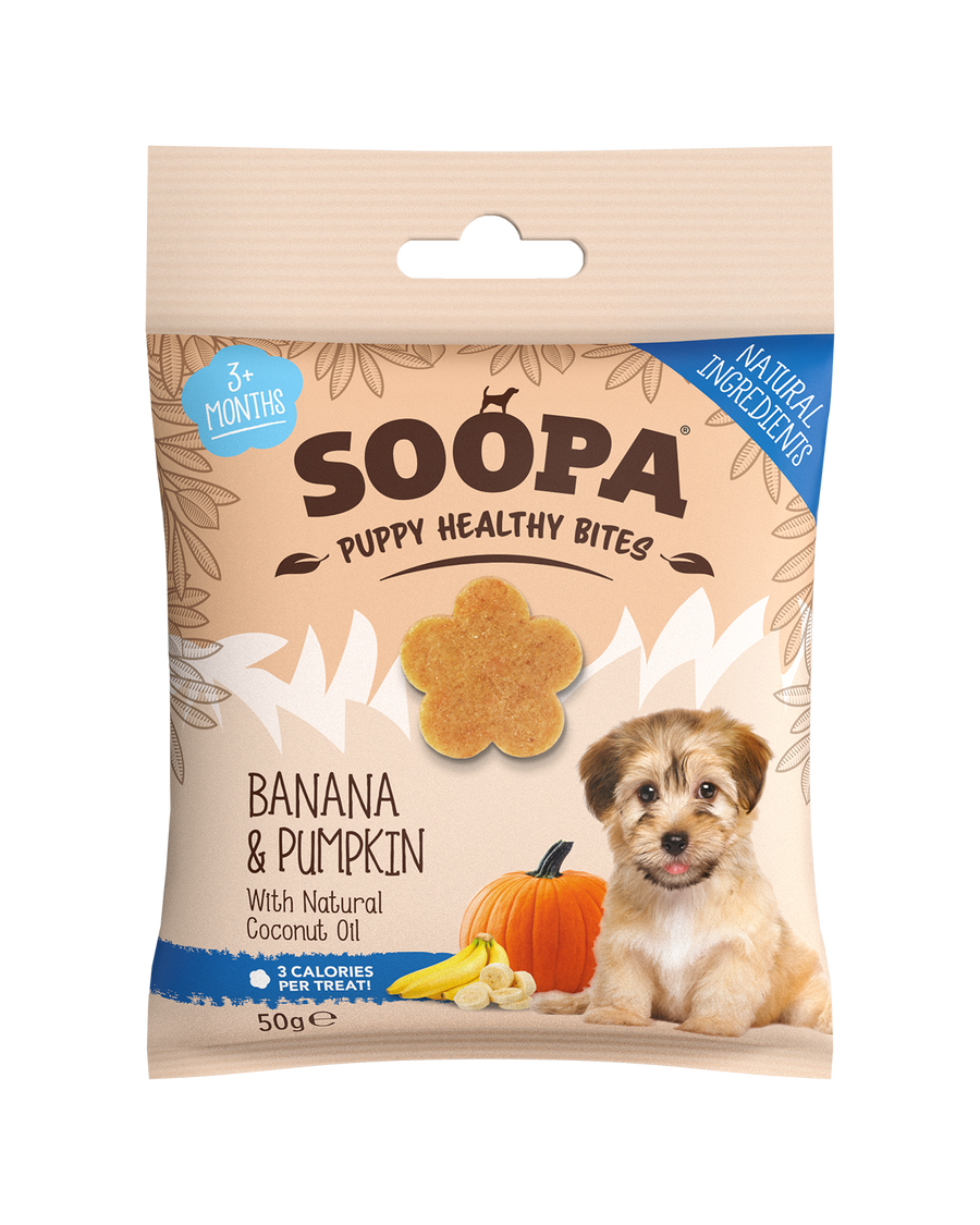 Banana & Pumpkin Healthy Training Bites for Puppies