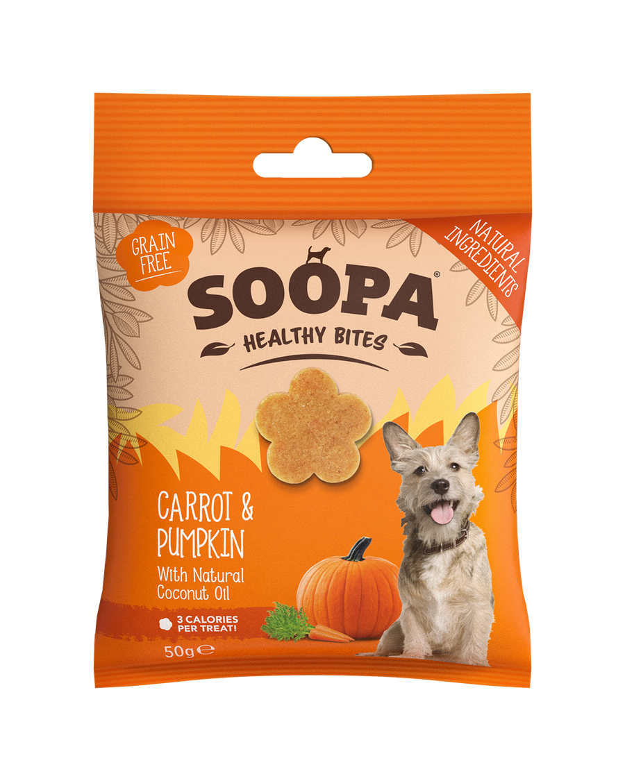 Carrot & Pumpkin Healthy Bites