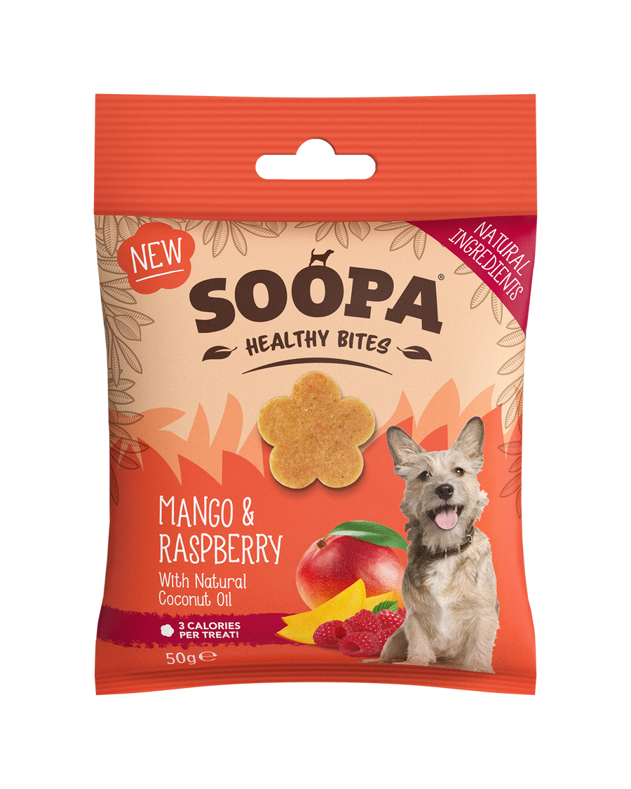 Mango & Raspberry Healthy Bites