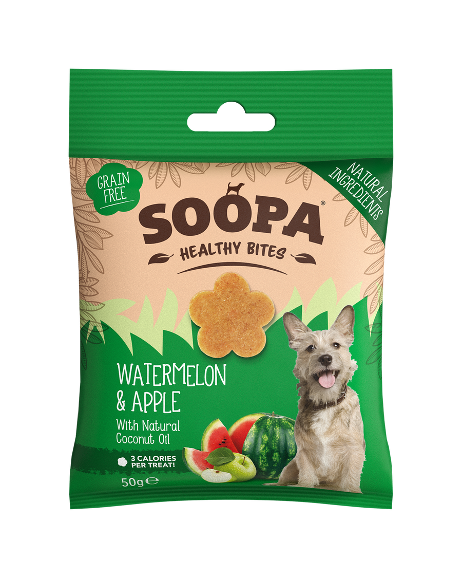Watermelon & Apple Healthy Bites