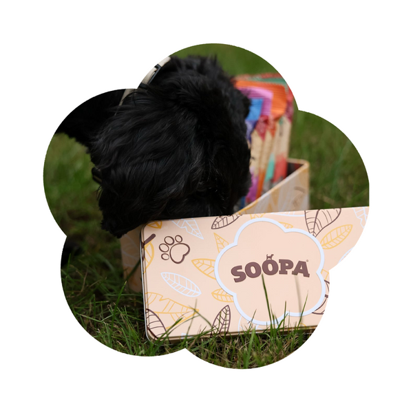 Soopa Dog Treat Tin