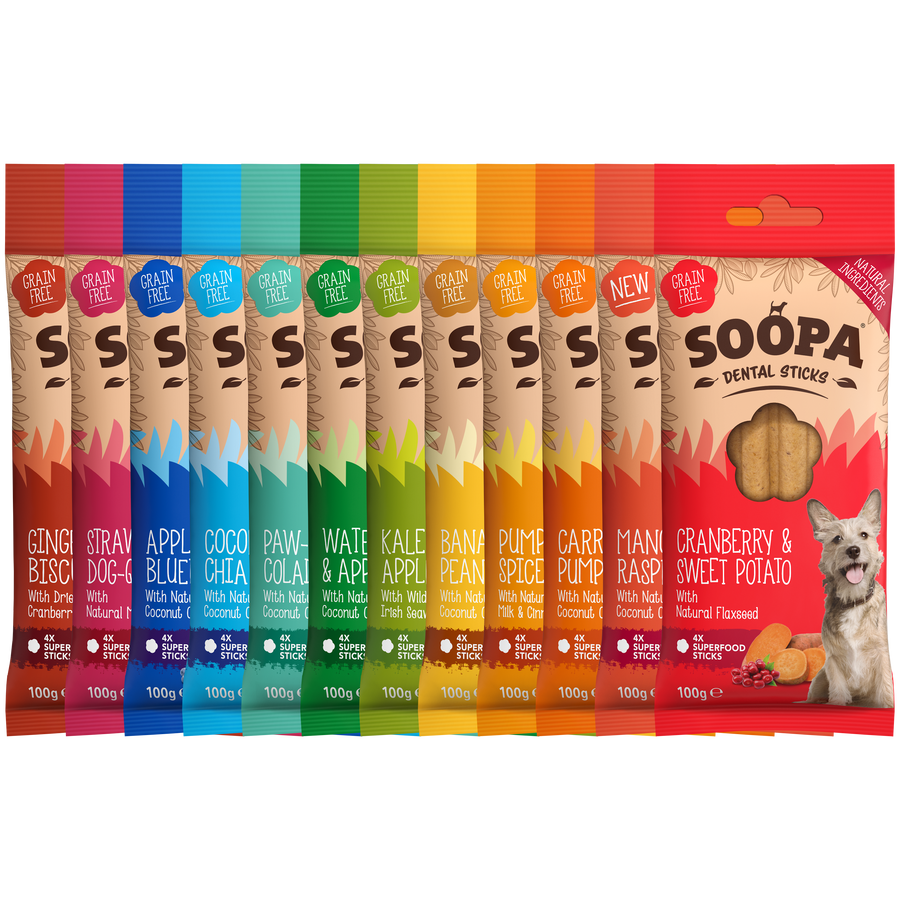 Chomp the Rainbow Bundle