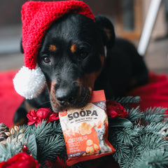 Gingerbread Biscuit Healthy Bites