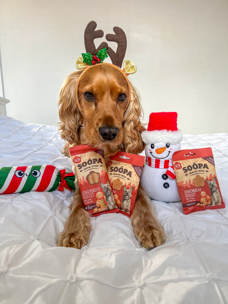 Gingerbread Biscuit Healthy Bites