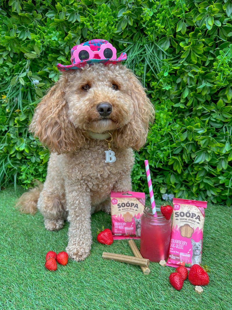 Strawberry Dog-Quiri Dental Sticks