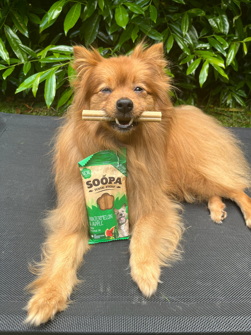 Watermelon & Apple Dental Sticks