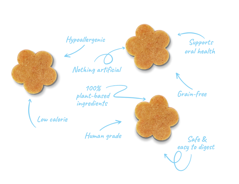 Soopa Bites
