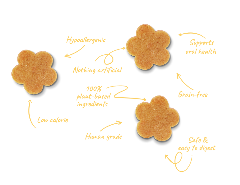 Soopa Bites