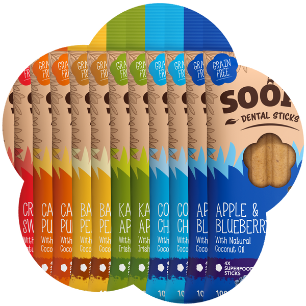 Mixed Dental Sticks - 12 Pack