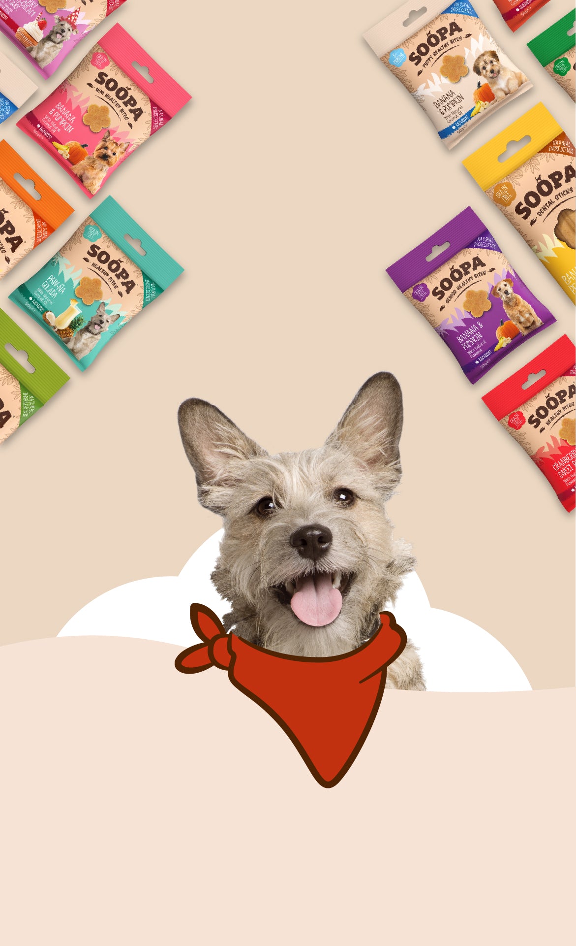 The happy healthy dog treats