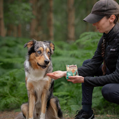 Paw-Na Colada Healthy Bites