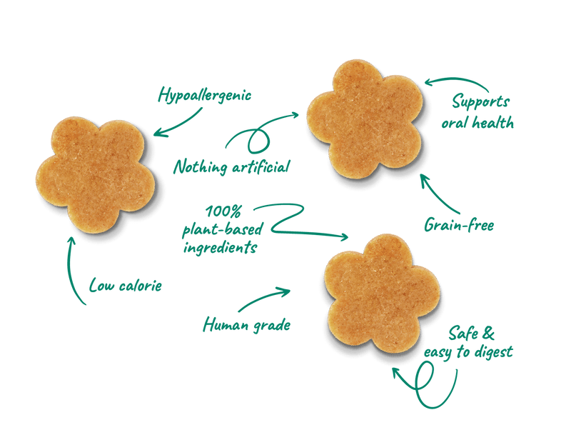 Soopa Bites