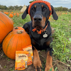 Pumpkin Spiced Latte Healthy Bites