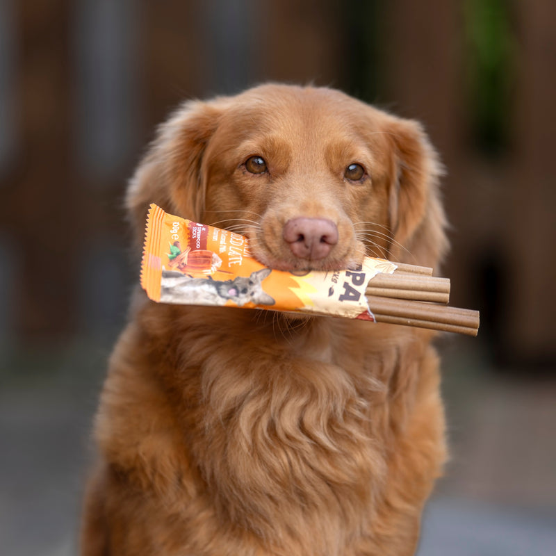 Pumpkin Spiced Latte Dental Sticks