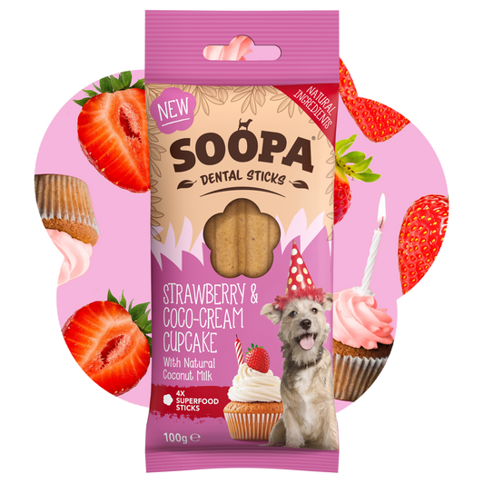 Strawberry & Coco-Cream Cupcake Dental Sticks