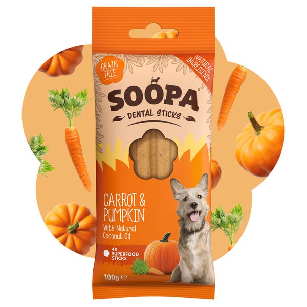 Carrot & Pumpkin Dental Sticks
