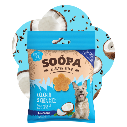 Coconut & Chia Seed Healthy Bites