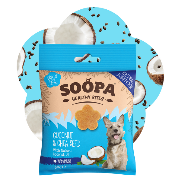 Coconut & Chia Seed Healthy Bites