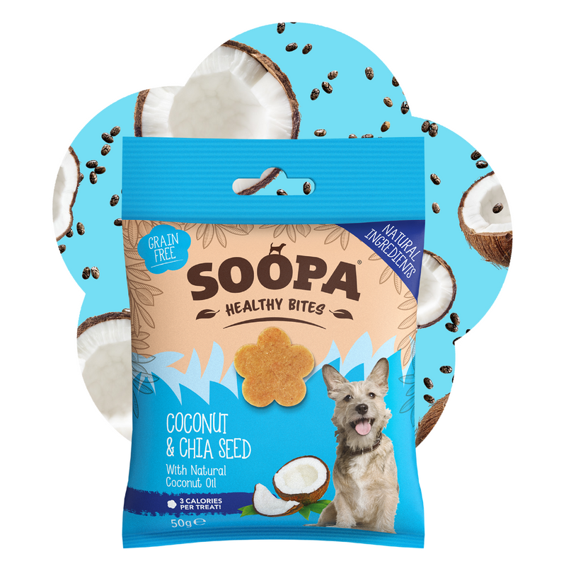 Coconut & Chia Seed Healthy Bites
