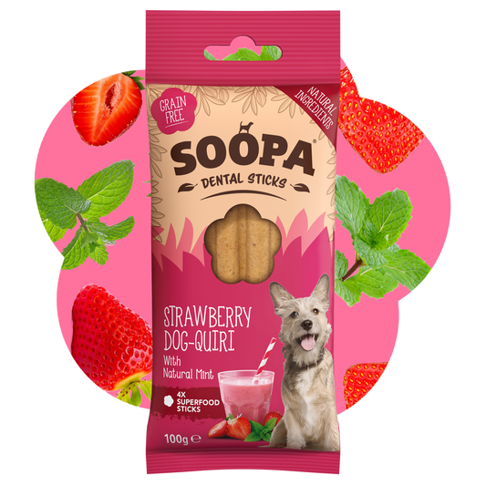 Strawberry Dog-Quiri Dental Sticks