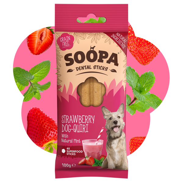 Strawberry Dog-Quiri Dental Sticks