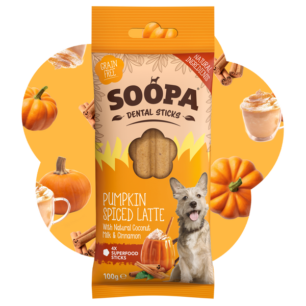 Pumpkin Spiced Latte Dental Sticks