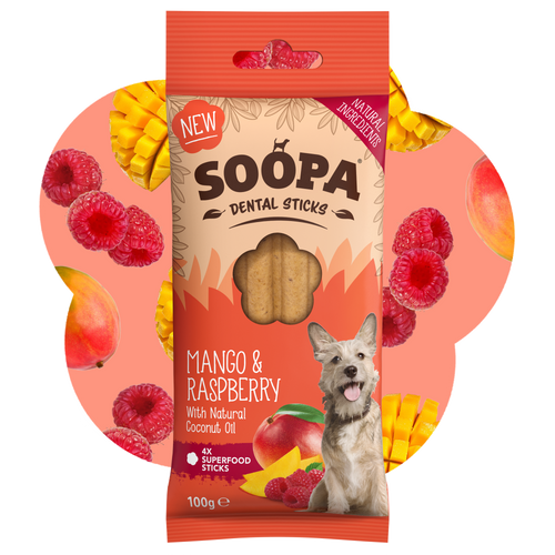 Mango & Raspberry Dental Sticks