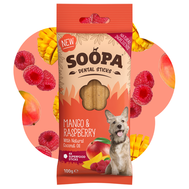 Mango & Raspberry Dental Sticks