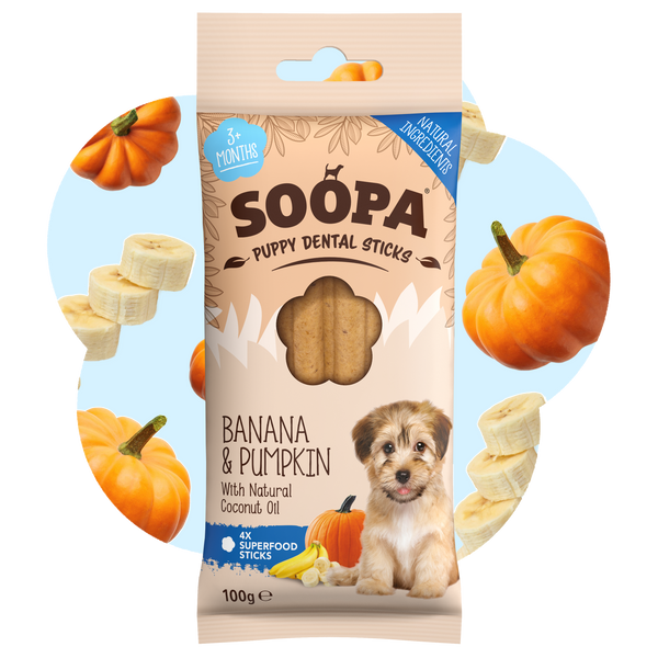 Banana & Pumpkin Dental Sticks for Puppies
