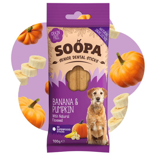 Banana, Pumpkin & Flaxseed Dental Sticks for Senior Dogs