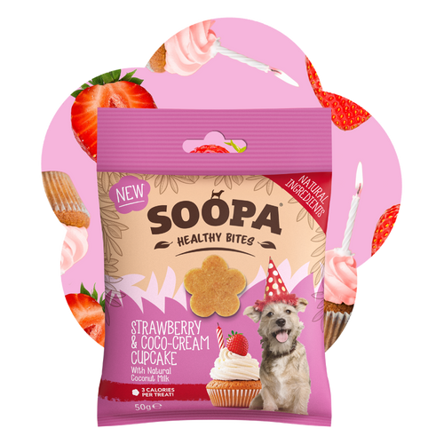 Strawberry & Coco-Cream Cupcake Healthy Bites