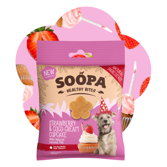 Strawberry & Coco-Cream Cupcake Healthy Bites