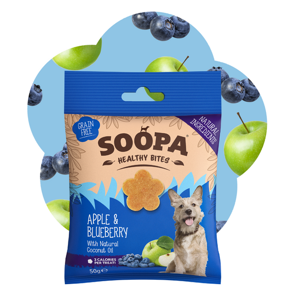 Apple & Blueberry Healthy Bites
