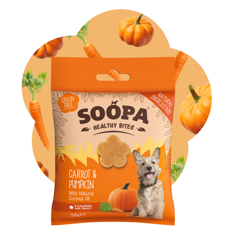 Carrot & Pumpkin Healthy Bites