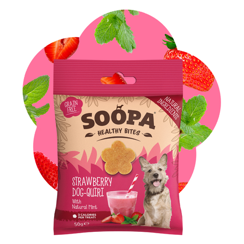 Strawberry Dog-Quiri Healthy Bites