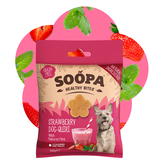 Strawberry Dog-Quiri Healthy Bites