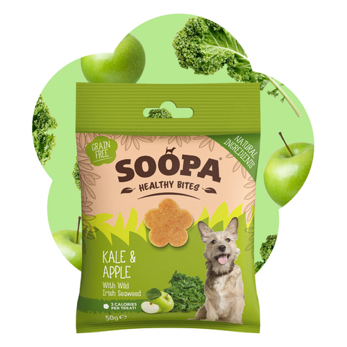 Kale & Apple Healthy Bites