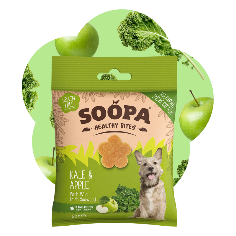 Kale & Apple Healthy Bites